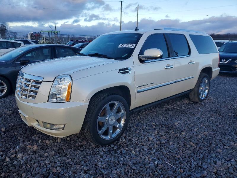 99590265 :رقم المزاد ، 1GYUCJEFXAR201150 vin ، 2010 Cadillac Escalade مزاد بيع