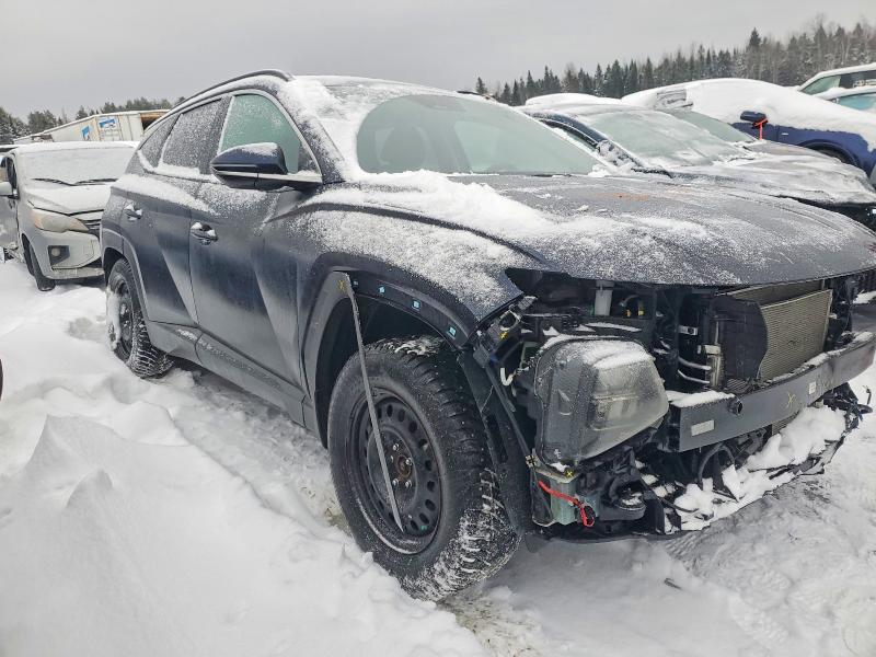 2023 Hyundai Tucson Sel მანქანა იყიდება აუქციონზე, vin: KM8JCCAEXPU255227, აუქციონის ნომერი: 72529545