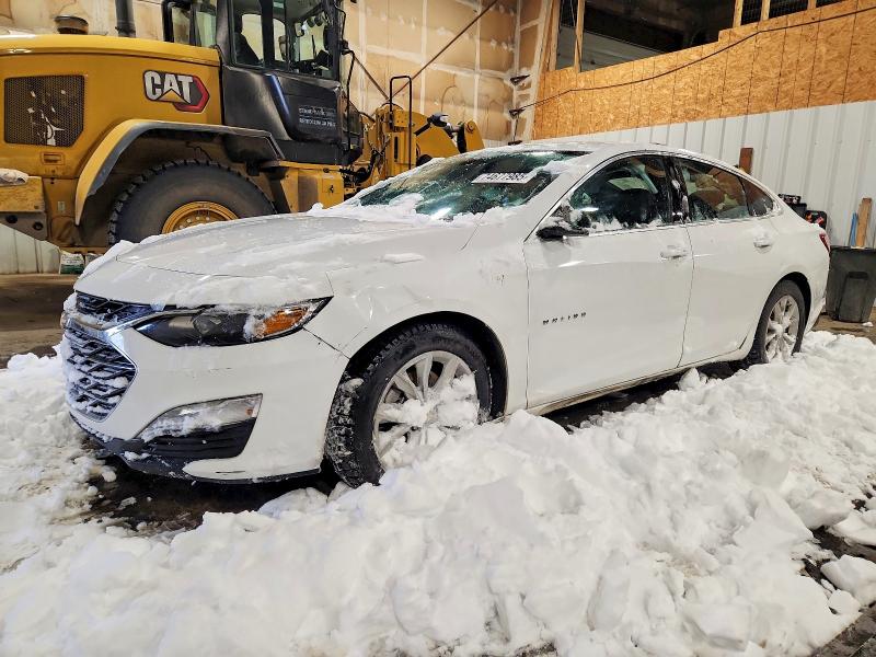 Auction sale of the 2020 Chevrolet Malibu, vin: 1G1ZD5ST5LF097495, lot number: 74677985