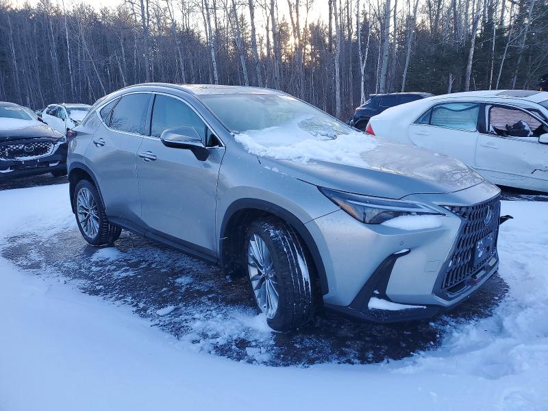 Продаж на аукціоні авто 2024 Lexus Nx, vin: 2T2GKCEZ6RC030202, номер лоту: 98218655