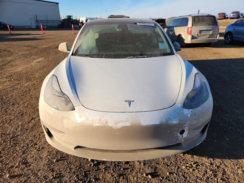 Продаж на аукціоні авто 2021 Tesla Model 3, vin: 5YJ3E1EA0MF088402, номер лоту: 74285075