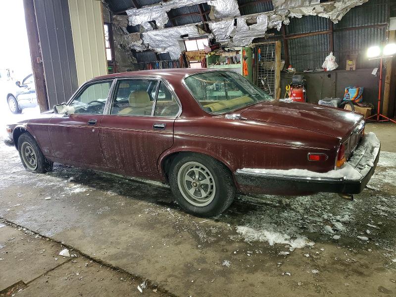 97276395 :رقم المزاد ، SAJAV134XDC356391 vin ، 1983 Jaguar Xj6 مزاد بيع
