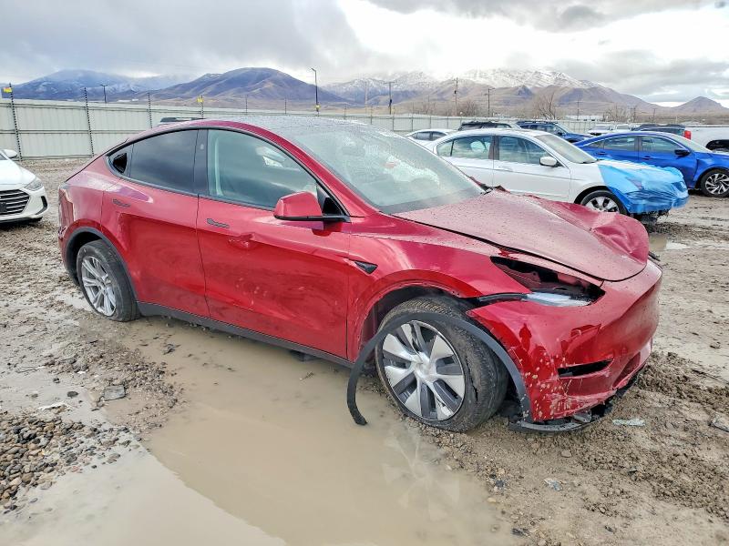 Продажа на аукционе авто 2024 Tesla Model Y, vin: 7SAYGDEE6RA222325, номер лота: 99365645