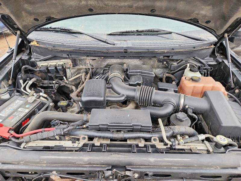 75395275 :رقم المزاد ، 1FTFW1EV9AFA38330 vin ، 2010 Ford F150 مزاد بيع