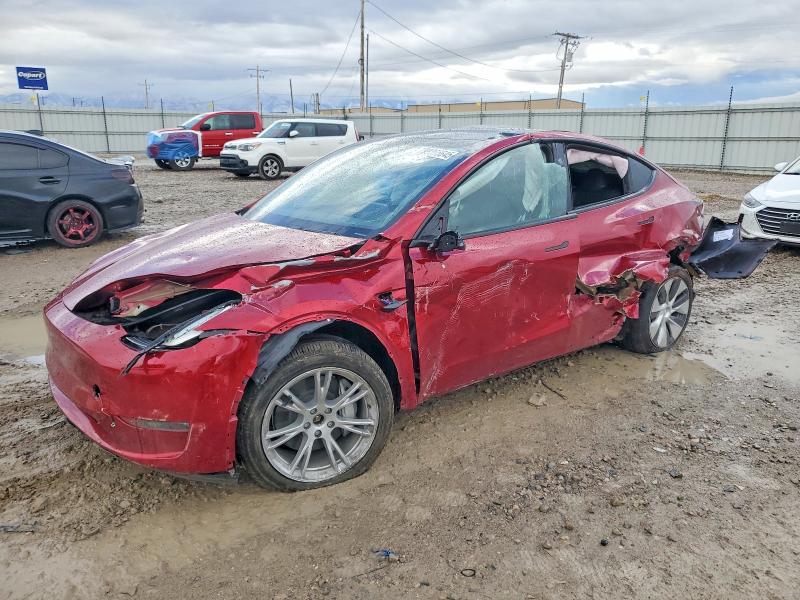 Продажа на аукционе авто 2024 Tesla Model Y, vin: 7SAYGDEE6RA222325, номер лота: 99365645