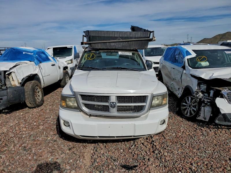 96953705 :رقم المزاد ، 1D7RE3BP3BS633691 vin ، 2011 Dodge Dakota مزاد بيع