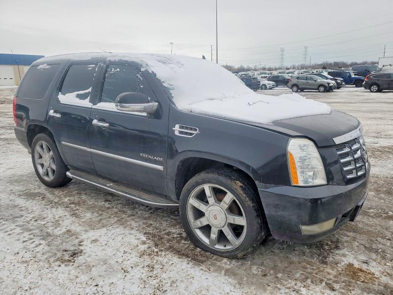 Aukcja sprzedaży 2010 Cadillac Escalade L, vin: 1GYUKBEF5AR231035, numer aukcji: 73270775