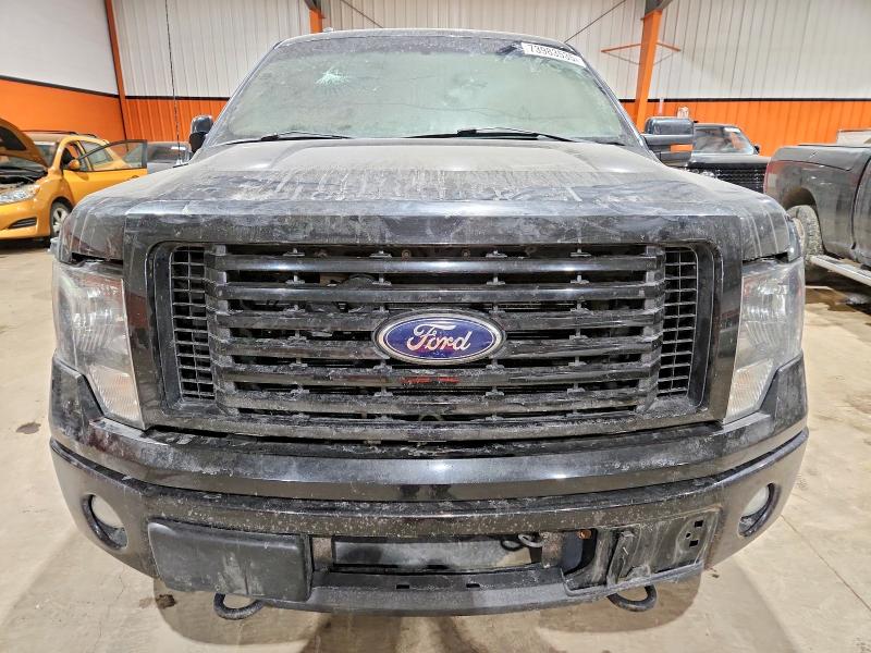 Продаж на аукціоні авто 2012 Ford F150, vin: 1FTFW1EF4CFB30523, номер лоту: 73983535