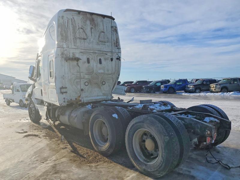 Aukcja sprzedaży 2020 Freightliner Cascadia 126, vin: 3AKJHHDR2LSLV9998, numer aukcji: 98171805