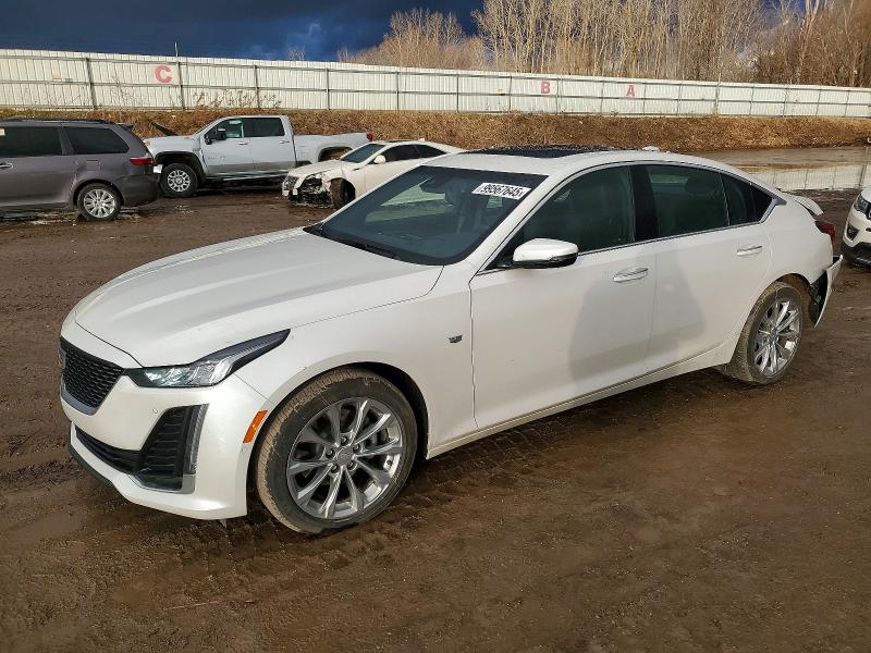 Aukcja sprzedaży 2024 Cadillac Ct5, vin: 1G6DT5RK5R0102503, numer aukcji: 99567645