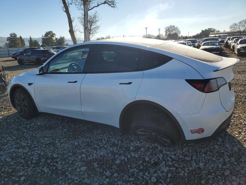 73270945 :رقم المزاد ، 7SAYGDEE7RF190505 vin ، 2024 Tesla Model Y مزاد بيع