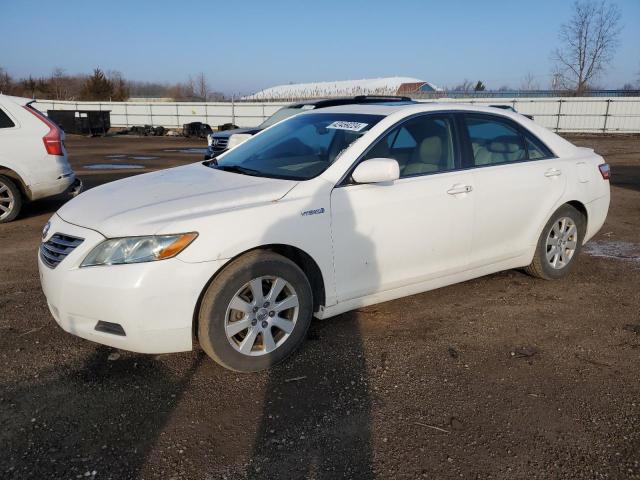 42459224 :رقم المزاد ، 4T1BB46K69U092252 vin ، 2009 Toyota Camry Hybrid مزاد بيع