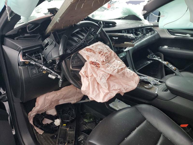 78420125 :رقم المزاد ، 1GYKNDRS1MZ116583 vin ، 2021 Cadillac Xt5 مزاد بيع