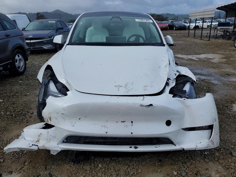 Aukcja sprzedaży 2024 Tesla Model Y, vin: 7SAYGDEE4RF056471, numer aukcji: 77807305