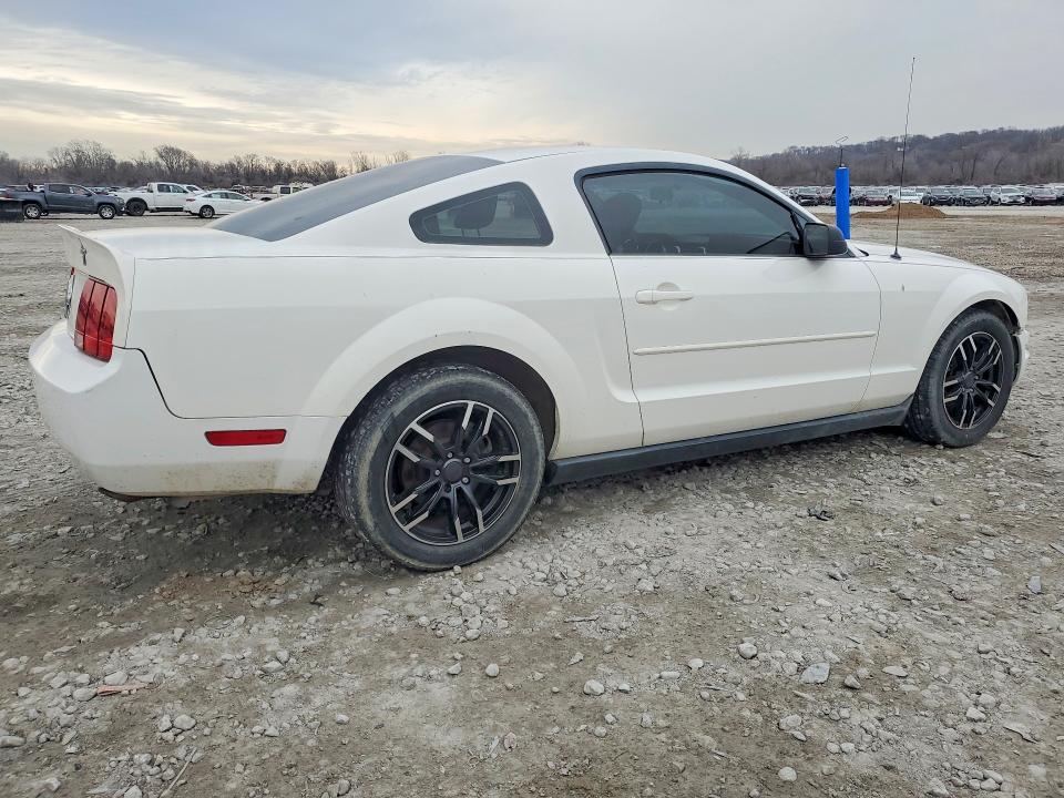 2005 Ford Mustang მანქანა იყიდება აუქციონზე, vin: 1ZVFT80N055191101, აუქციონის ნომერი: 78740085