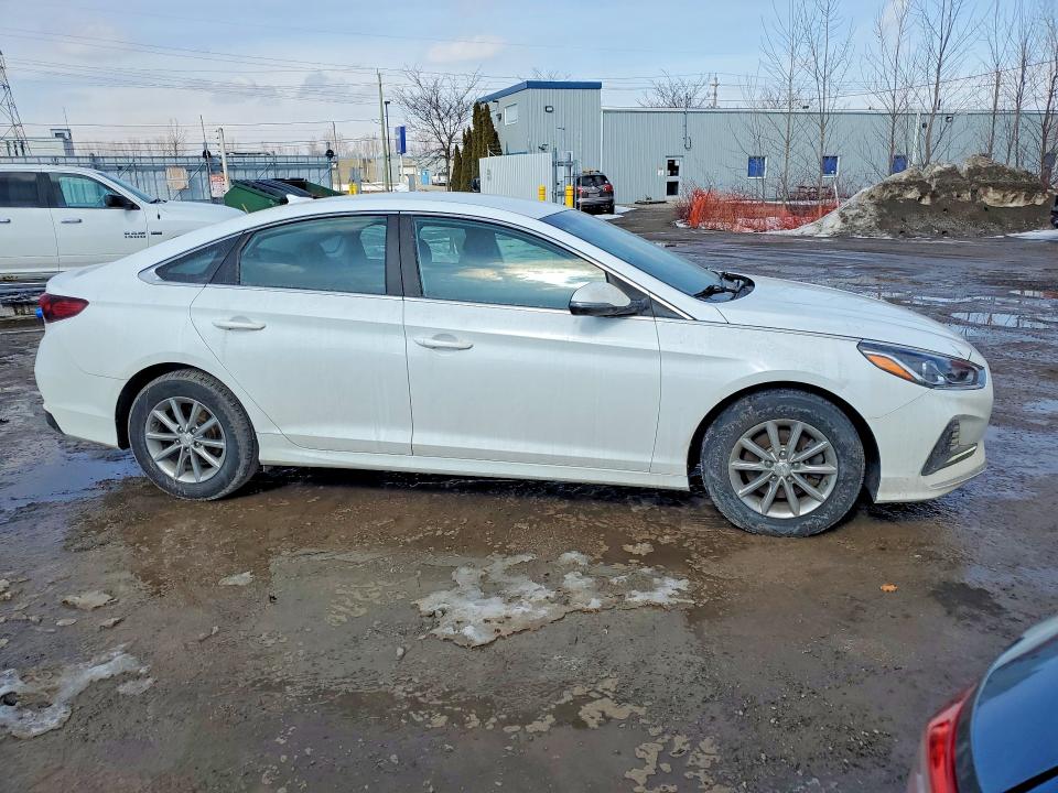 79163535 :رقم المزاد ، 5NPE24AF6KH789528 vin ، 2019 Hyundai Sonata مزاد بيع