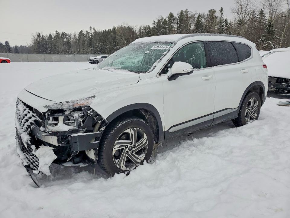 Auction sale of the 2022 Hyundai Santa Fe, vin: 5NMS3DAJ4NH430667, lot number: 75683385