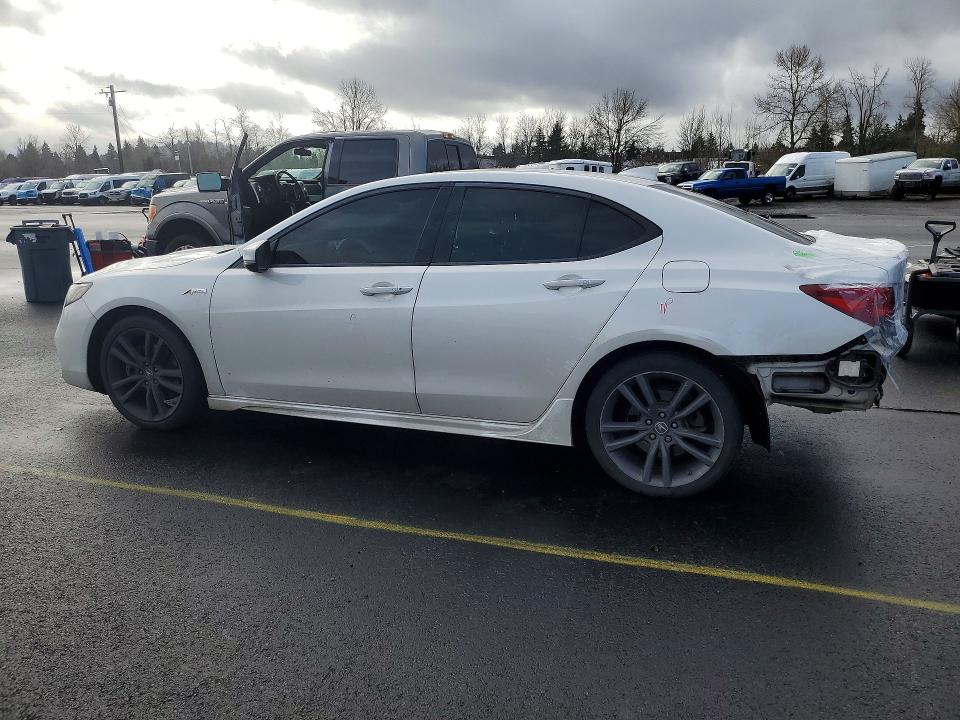 77793175 :رقم المزاد ، 19UUB1F61KA001279 vin ، 2019 Acura Tlx مزاد بيع