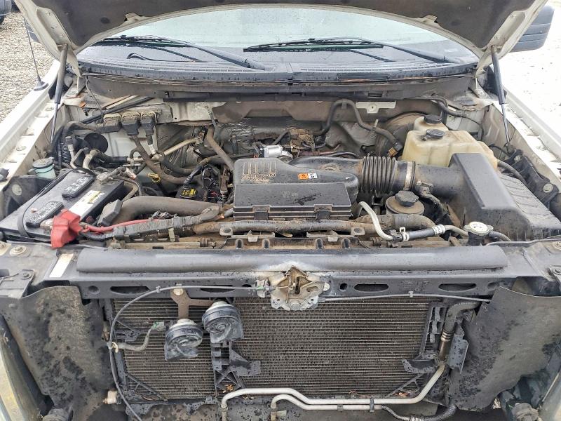 Продажа на аукционе авто 2010 Ford F150, vin: 1FTMF1CWXAKA46527, номер лота: 53304806