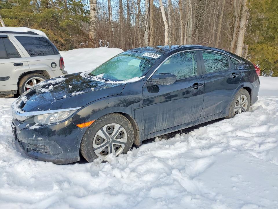 77268105 :رقم المزاد ، 2HGFC2F51HH007435 vin ، 2017 Honda Civic مزاد بيع