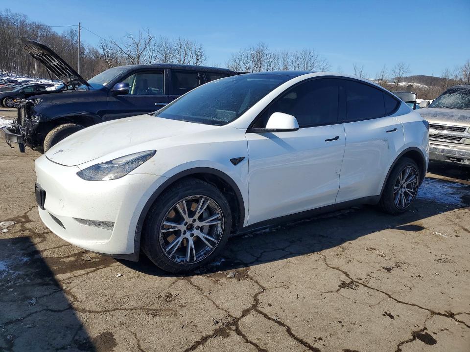 Продажа на аукционе авто 2023 Tesla Model Y, vin: 7SAYGDEF4PA049040, номер лота: 76427235
