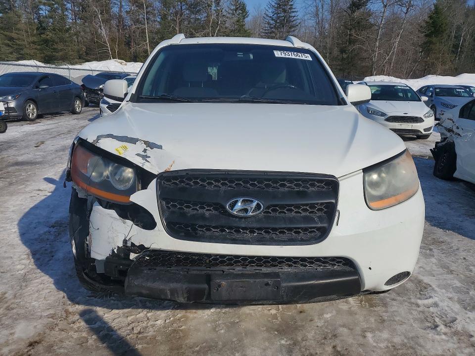 Продаж на аукціоні авто 2009 Hyundai Santa Fe, vin: 5NMSG13D69H273532, номер лоту: 79376675