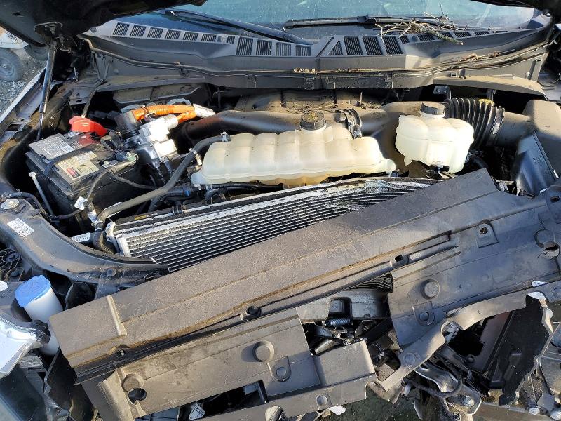 2023 Ford F150 მანქანა იყიდება აუქციონზე, vin: 1FTFW1ED4PFB60125, აუქციონის ნომერი: 77969545