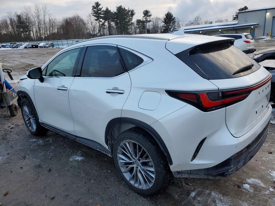 Aukcja sprzedaży 2023 Lexus Nx, vin: 2T2GKCEZ5PC009919, numer aukcji: 76421745