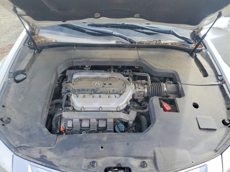 Auction sale of the 2009 Acura Tl, vin: 19UUA86519A001263, lot number: 78589535