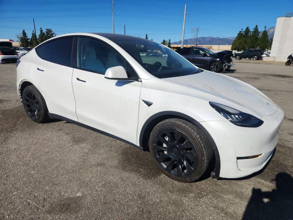 Aukcja sprzedaży 2021 Tesla Model Y, vin: 5YJYGDEE7MF062304, numer aukcji: 75387465
