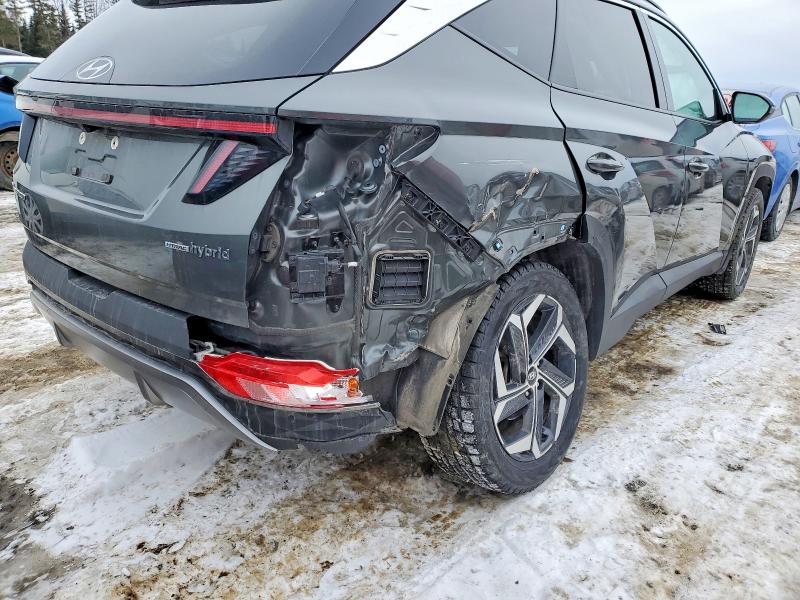 2023 Hyundai Tucson მანქანა იყიდება აუქციონზე, vin: KM8JCCA12PU129344, აუქციონის ნომერი: 76928965