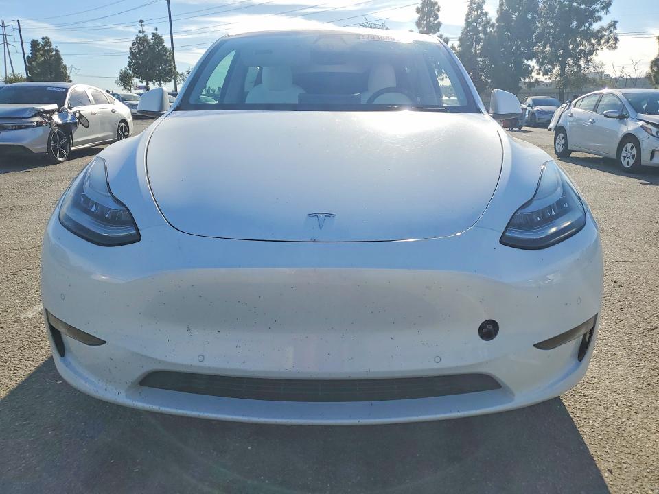Aukcja sprzedaży 2021 Tesla Model Y, vin: 5YJYGDEE8MF269154, numer aukcji: 79483915