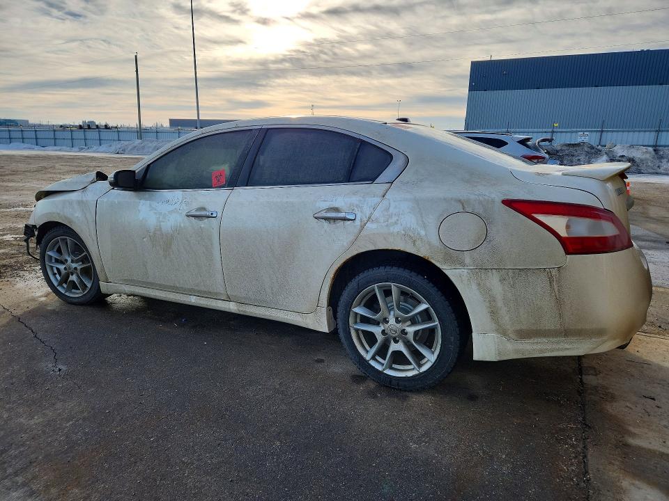 2010 Nissan Maxima მანქანა იყიდება აუქციონზე, vin: 1N4AA5AP6AC836721, აუქციონის ნომერი: 74749955