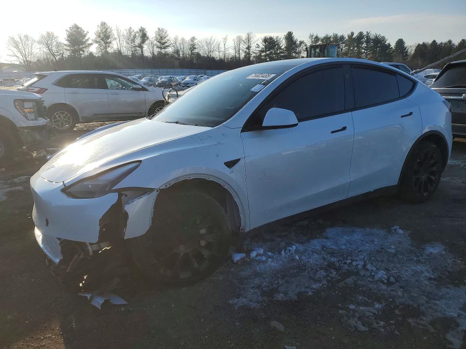 2024 Tesla Model Y მანქანა იყიდება აუქციონზე, vin: 7SAYGDED3RF092059, აუქციონის ნომერი: 75603485