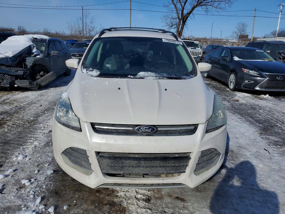 2014 Ford Escape მანქანა იყიდება აუქციონზე, vin: 1FMCU9GX1EUB50638, აუქციონის ნომერი: 75656615