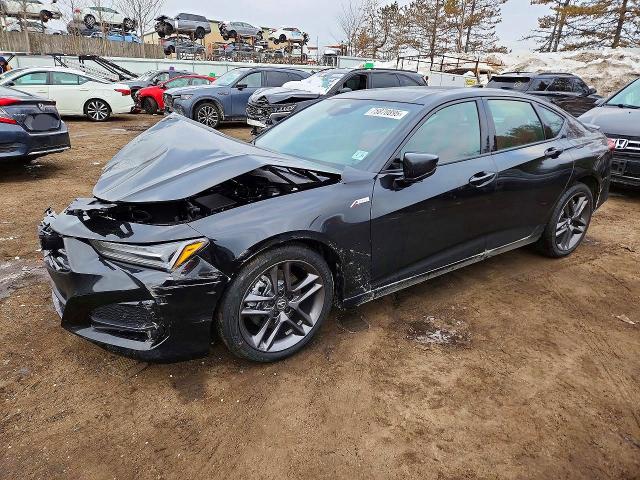 Продаж на аукціоні авто 2025 Acura Tlx, vin: 19UUB6F56SA005283, номер лоту: 75870895