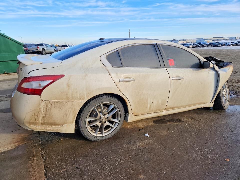 2010 Nissan Maxima მანქანა იყიდება აუქციონზე, vin: 1N4AA5AP6AC836721, აუქციონის ნომერი: 74749955