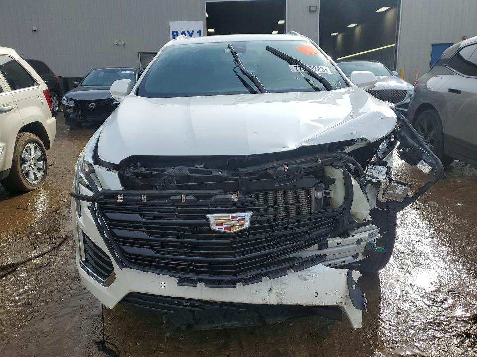 Продажа на аукционе авто 2019 Cadillac Xt5, vin: 1GYKNDRS6KZ272289, номер лота: 77850225