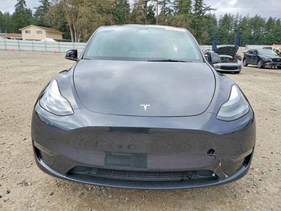 Продажа на аукционе авто 2025 Tesla Model Y, vin: 7SAYGDEE7SF299052, номер лота: 79466155