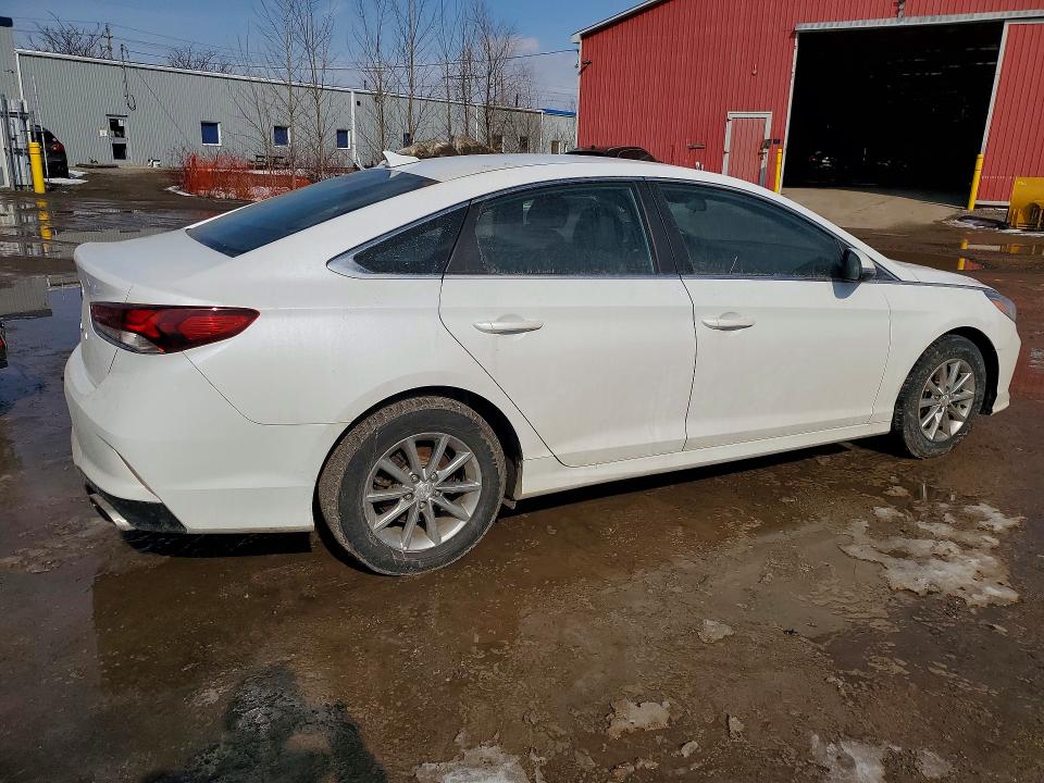 79163535 :رقم المزاد ، 5NPE24AF6KH789528 vin ، 2019 Hyundai Sonata مزاد بيع
