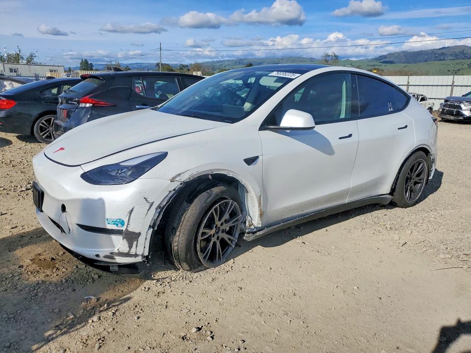 Aukcja sprzedaży 2025 Tesla Model Y, vin: 7SAYGDED9SF321592, numer aukcji: 79036225