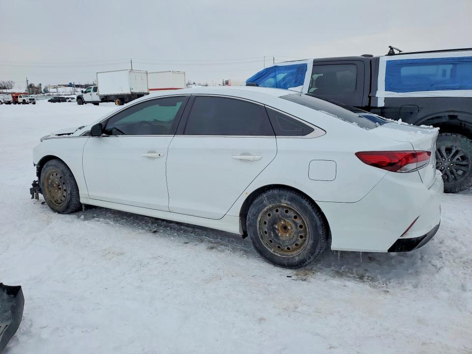 75550055 :رقم المزاد ، 5NPE24AF8KH742386 vin ، 2019 Hyundai Sonata مزاد بيع