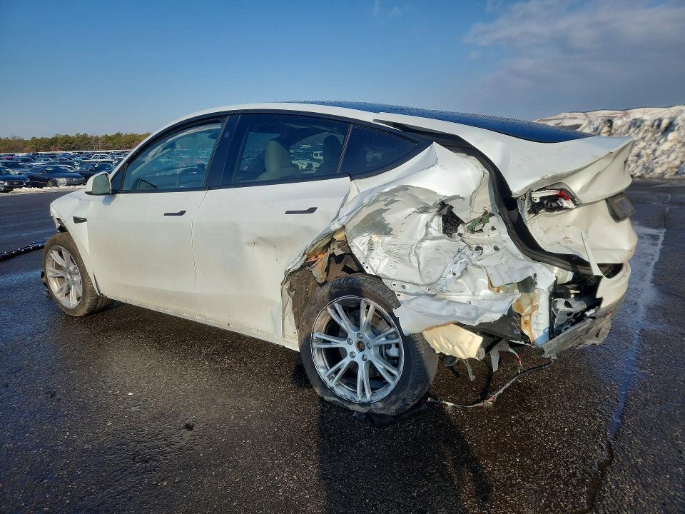Продажа на аукционе авто 2023 Tesla Model Y, vin: 7SAYGDEE3PA193119, номер лота: 76892035
