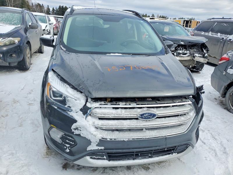 Auction sale of the 2019 Ford Escape, vin: 1FMCU9HD9KUC10438, lot number: 75276665