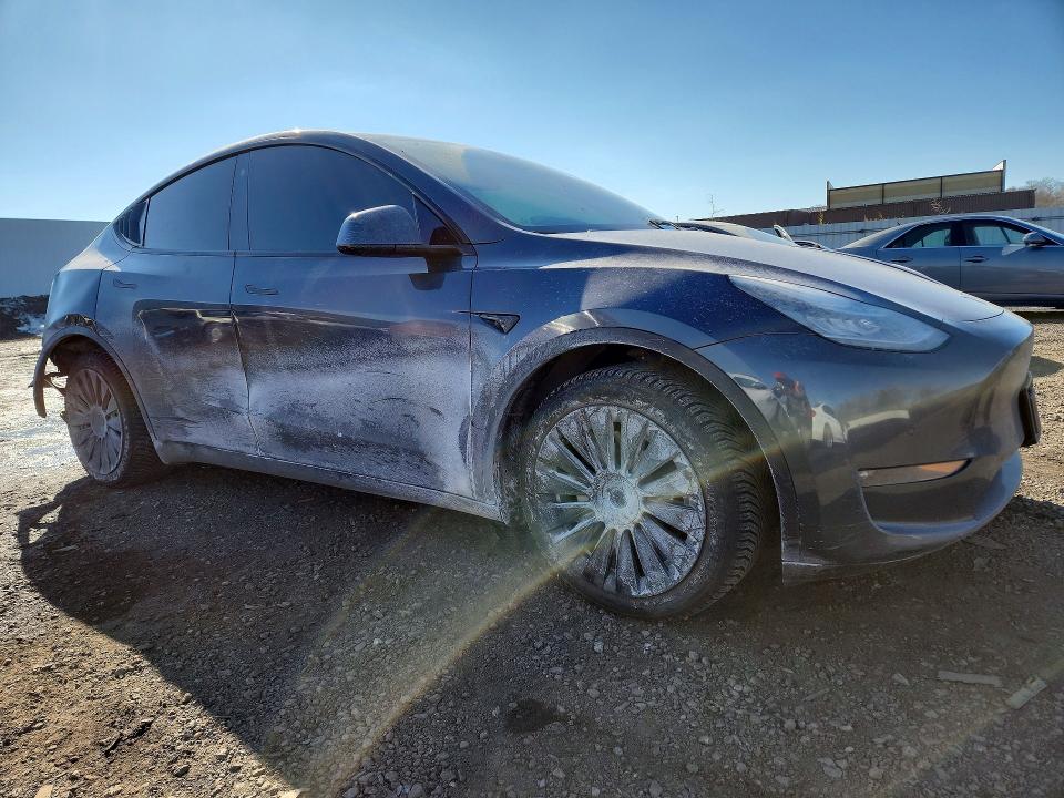 2021 Tesla Model Y მანქანა იყიდება აუქციონზე, vin: 5YJYGDEE0MF185569, აუქციონის ნომერი: 77391055
