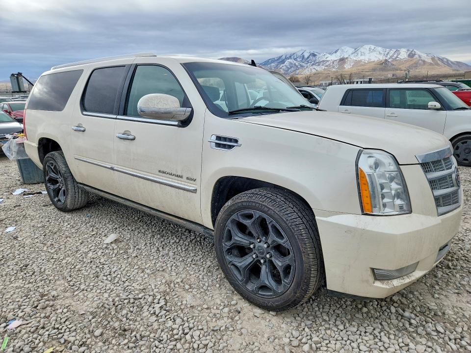 Продаж на аукціоні авто 2014 Cadillac Escalade, vin: 1GYS4KEF3ER102153, номер лоту: 78524195