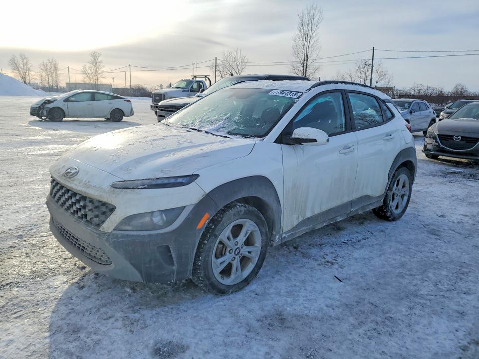 Продаж на аукціоні авто 2023 Hyundai Kona, vin: KM8K2CAB1PU993589, номер лоту: 77544315
