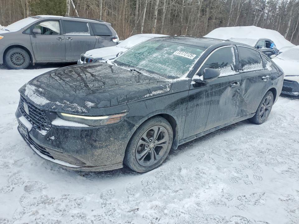 75172125 :رقم المزاد ، 1HGCY1F35RA801271 vin ، 2024 Honda Accord مزاد بيع