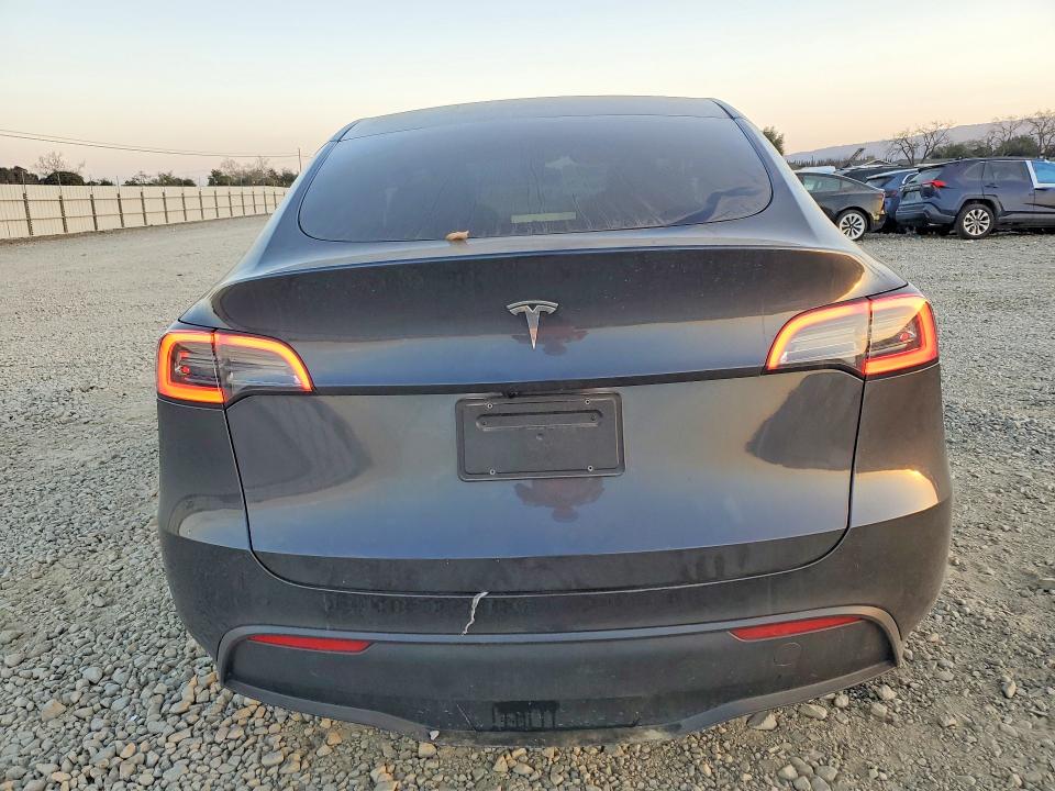 Продажа на аукционе авто 2024 Tesla Model Y, vin: 7SAYGDED7RF113298, номер лота: 75710625