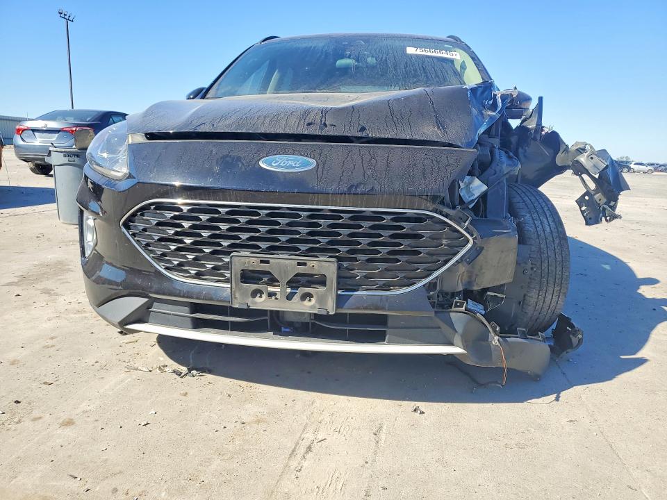 2020 Ford Escape მანქანა იყიდება აუქციონზე, vin: 1FMCU0H60LUA54000, აუქციონის ნომერი: 75666645